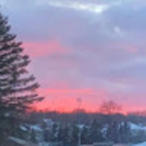 Meet your Posher, Sadie